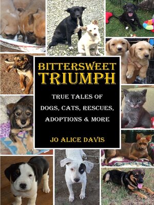 cover image of BITTERSWEET TRIUMPH